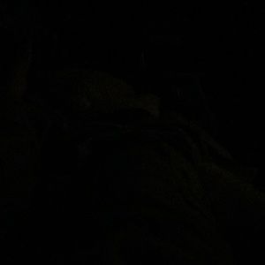 Meet your Posher, Lilly